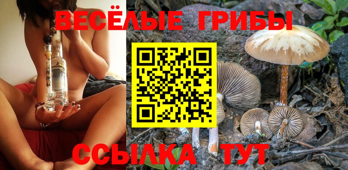 Галлюциногенные грибы MAGIC MUSHROOMS Шебекино