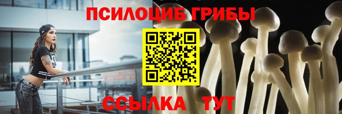 Галлюциногенные грибы Psilocybe  Вход с VPN  Шебекино 